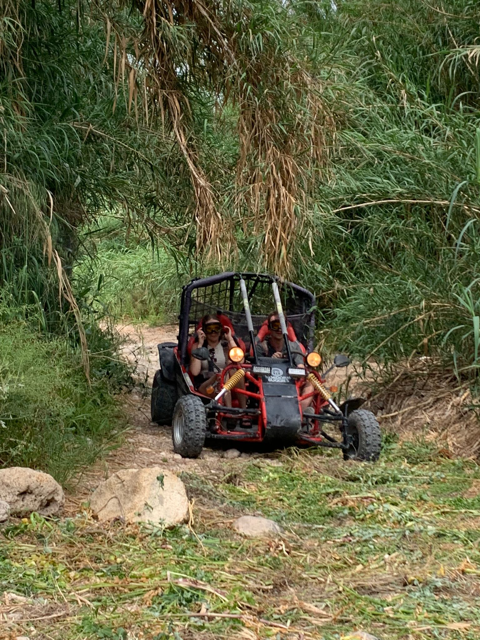 Buggy
